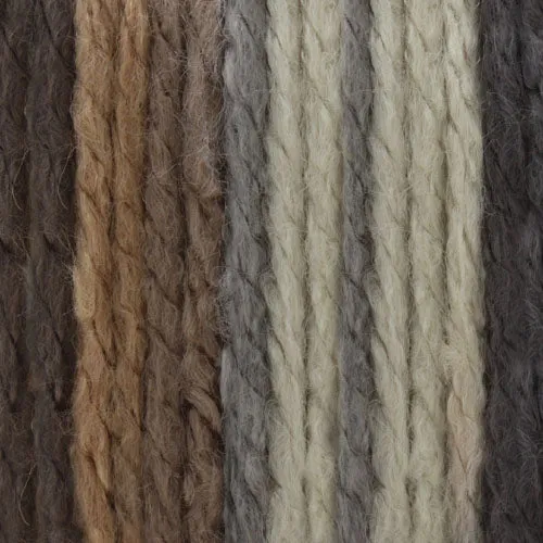 Bernat Softee Chunky Yarn