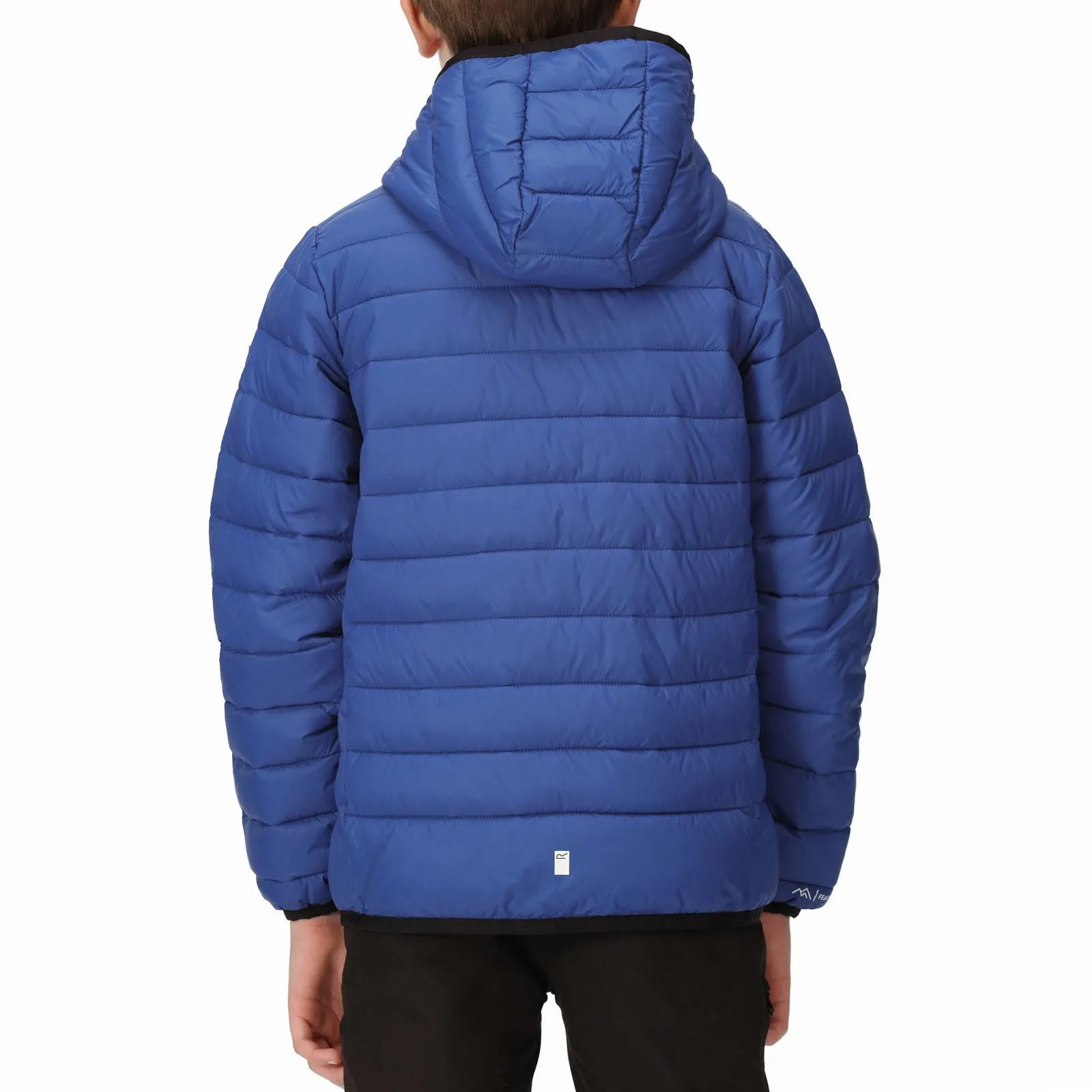 Regatta Kids Marizion Baffled Padded Water Repellent Jacket - Royal